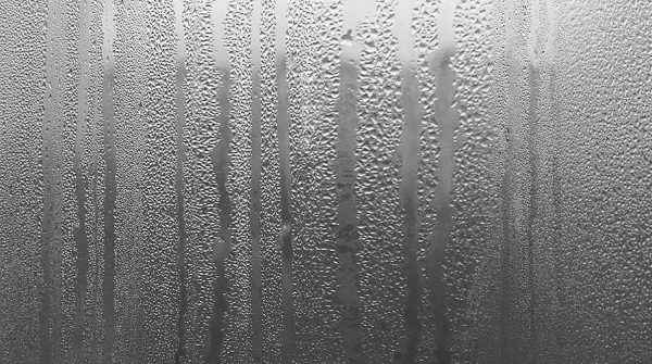 fogged windows Jacksonville fl